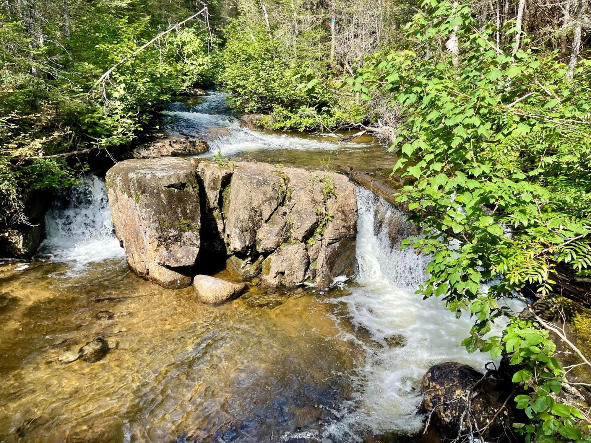 Imago Village Saint-David-de-Falardeau Luaran gambar