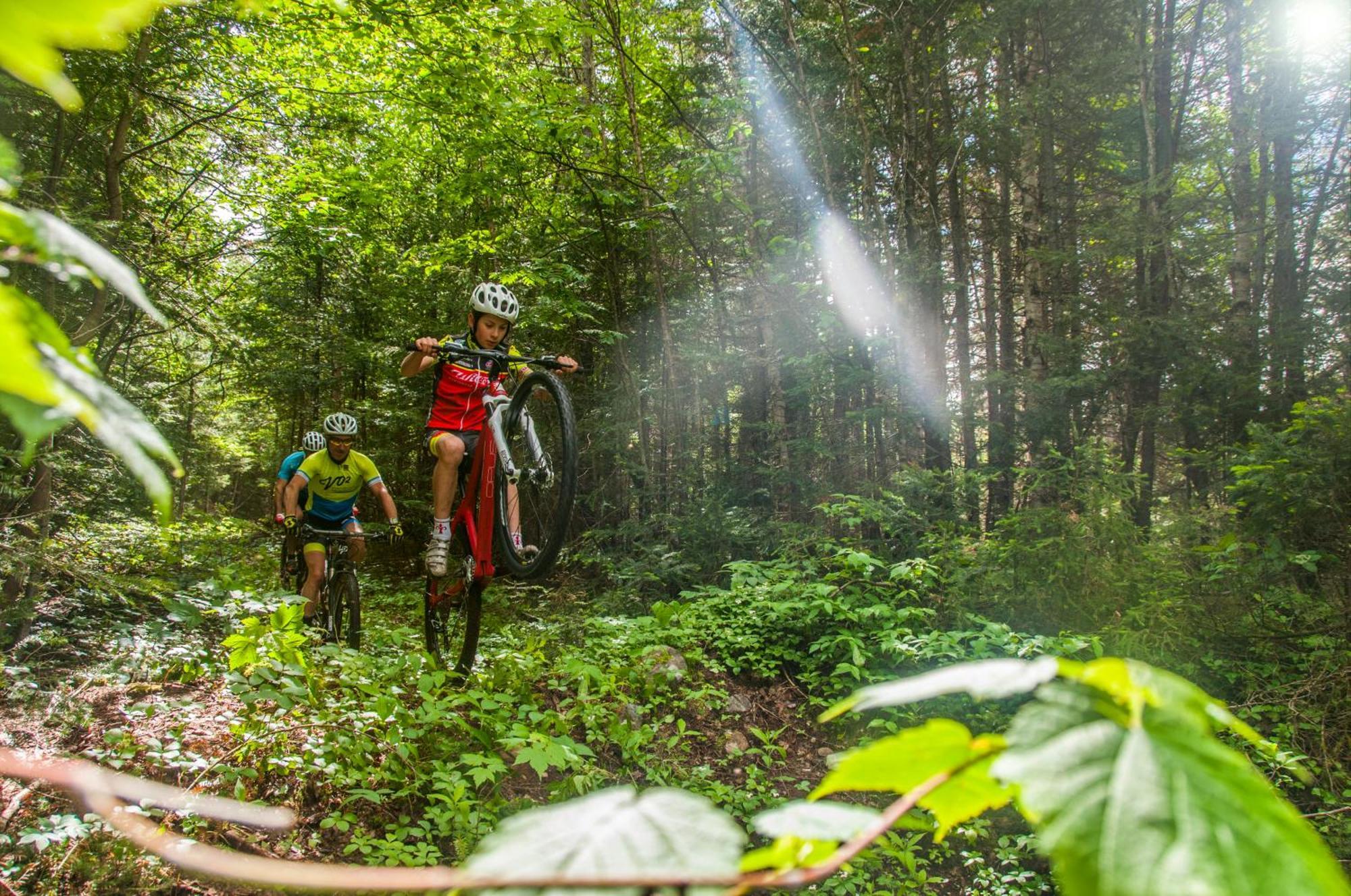Imago Village Saint-David-de-Falardeau Luaran gambar