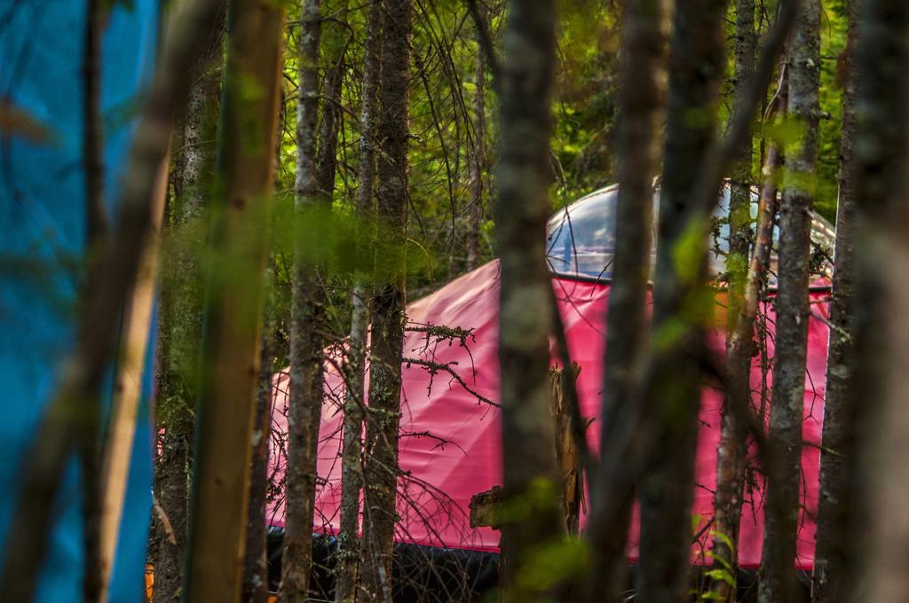 Imago Village Saint-David-de-Falardeau Luaran gambar